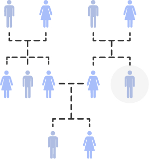 Family Tree diagram showing one person highlighted out of 11 shown in 3 generations