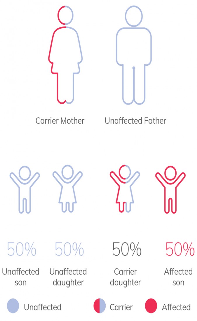 Carrier Screening - PsiGenex - X-linked_Recessive_Genetic_Conditions