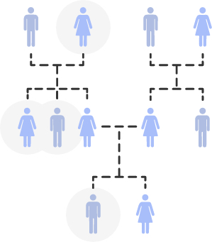 Family Tree diagram showing 4 person highlighted out of 11 shown in 3 generations